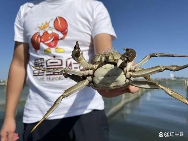 开云体育(中国)官方网站无疑为当地衍生业增添了重重费事-亚傅体育app官网入口下