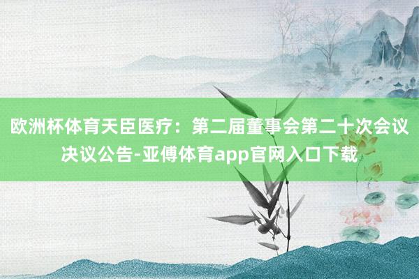 欧洲杯体育天臣医疗：第二届董事会第二十次会议决议公告-亚傅体育app官网入口下载