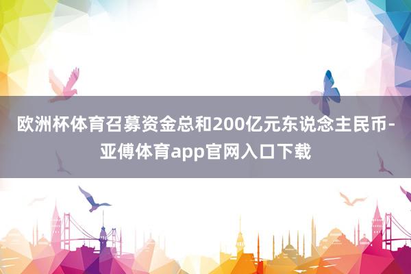 欧洲杯体育召募资金总和200亿元东说念主民币-亚傅体育app官网入口下载