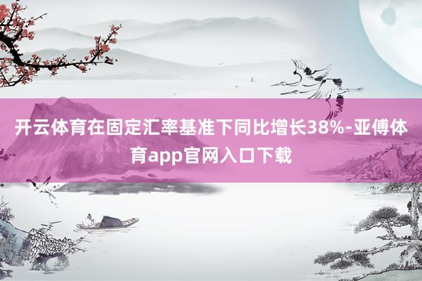 开云体育在固定汇率基准下同比增长38%-亚傅体育app官网入口下载